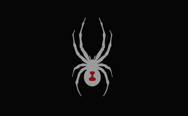 SPYDER 这个蜘蛛logo奢侈品牌你了解多少~